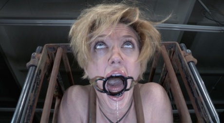 Blonde female Darling is subjected to anal penetration while in bondage 51946485