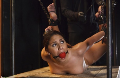 Naked girl is ball gagged during compression bondage and sensory play 94063725